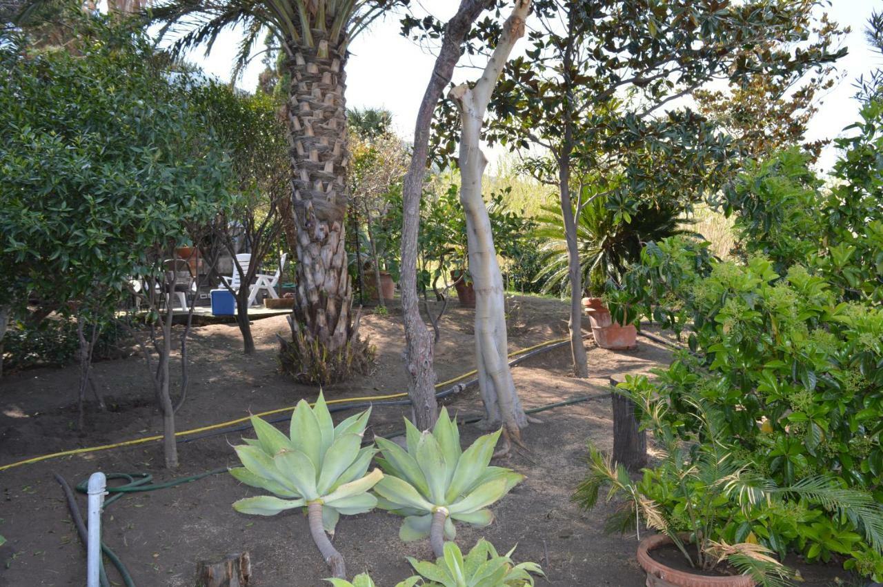 B&B Il Giardino Segreto سترومبولي المظهر الخارجي الصورة